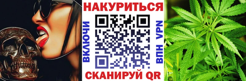 Конопля марихуана купить наркоту Белокуриха